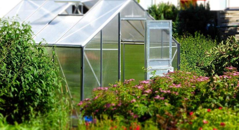 Lehet még vetni vagy ültetni valamit ősszel fűtetlen fóliába?