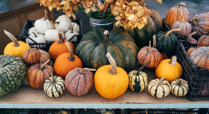 Mit jelez a havi horoszkóp 2025. novemberre?