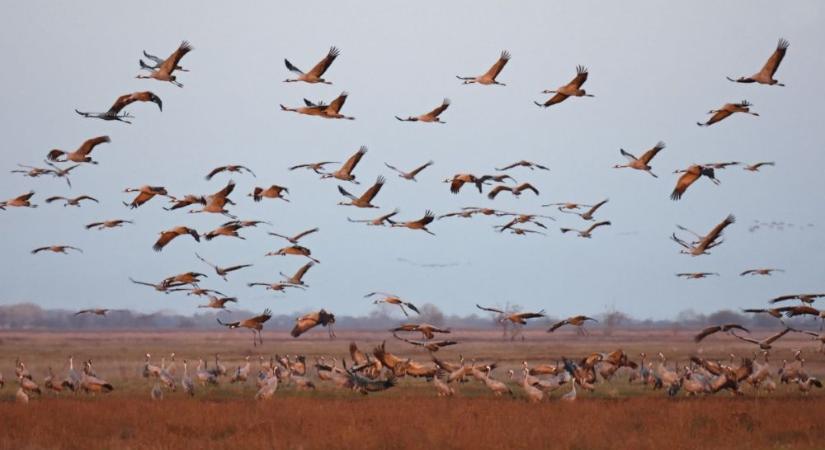 Őszi varázslatok és programkavalkád a hétvégére