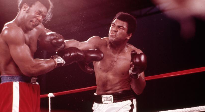 51 éves a dzsungelbunyó, amit egymilliárdan láttak