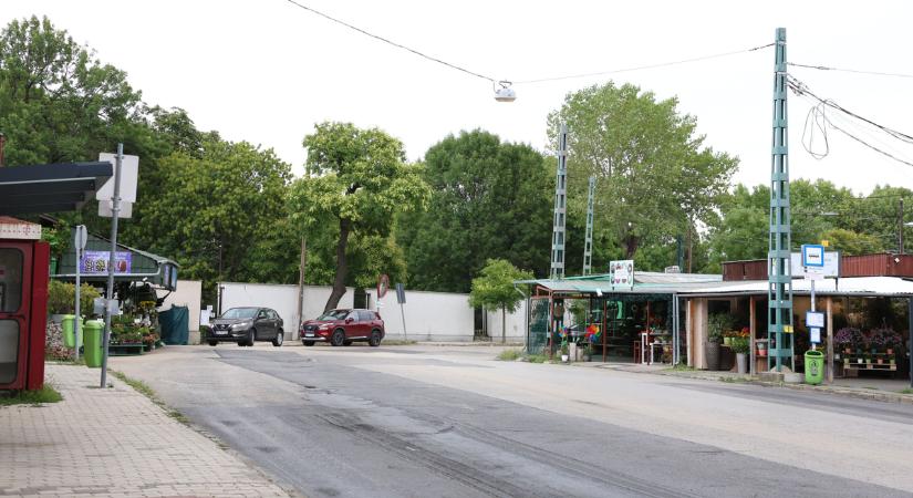 Ezekkel a járatokkal juthatunk el a legkönnyebben a temetőkbe