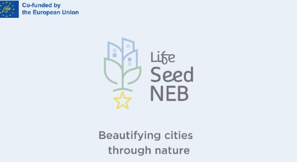 Izgalmas fejlesztés valósul meg a LIFE SeedNEB projekt keretében