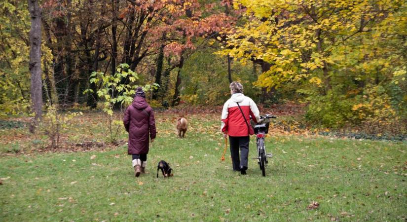 Akár 24 fok is lehet november első napján