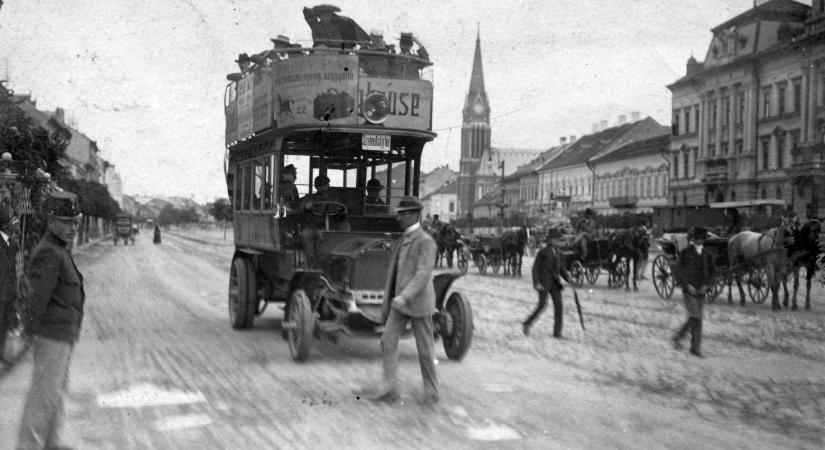 Aki az állatot szereti, rossz sofőr nem lehet