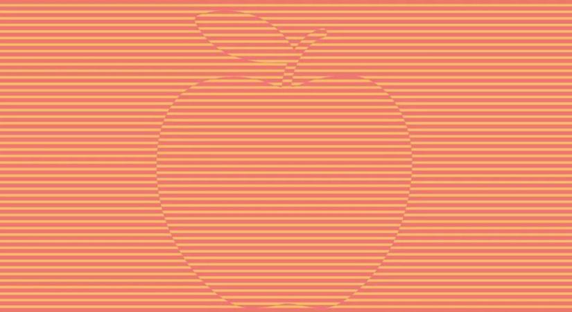 Optikai illúzió: mit lát a képen? Kiderül, mennyire tartják intelligensnek mások