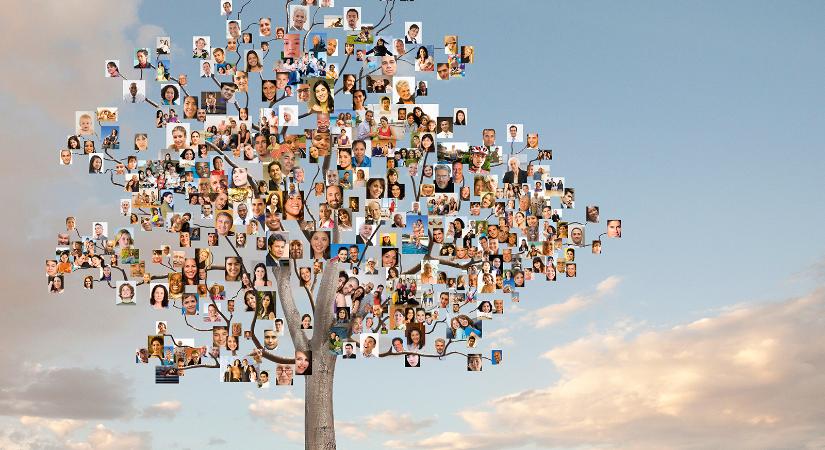 Családfakutatás: Genetikai térkép és féltve őrzött titkok