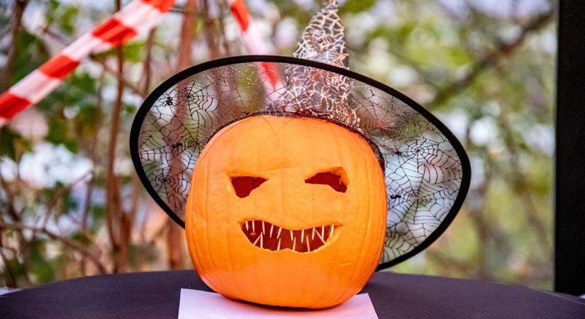 A merészeké volt az Avas péntek este - képek, videó