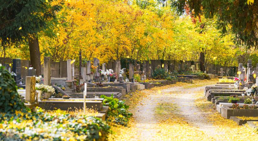 Délben már húsz fok körül lesz a hőmérséklet Győrben