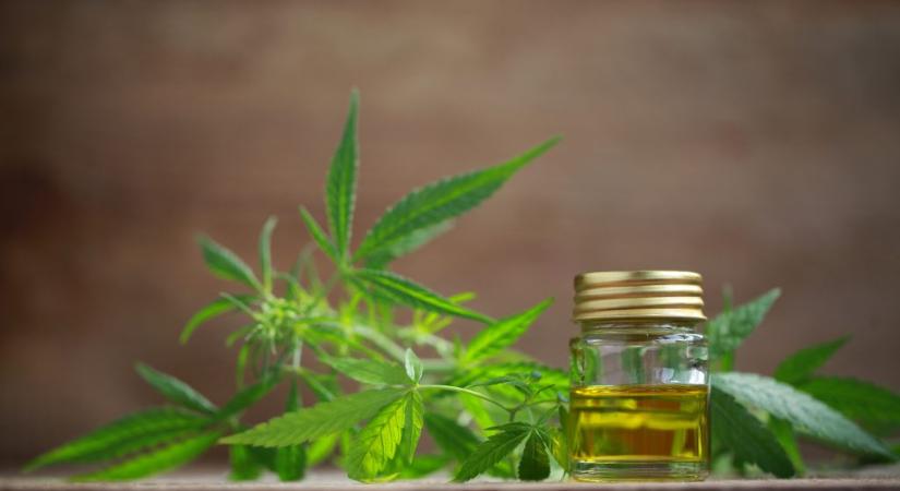 Egyetlen deka fű okozta az „ötezer adagos” budapesti díler vesztét