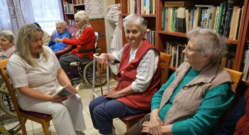 A szociális munka hőseit ismerik el