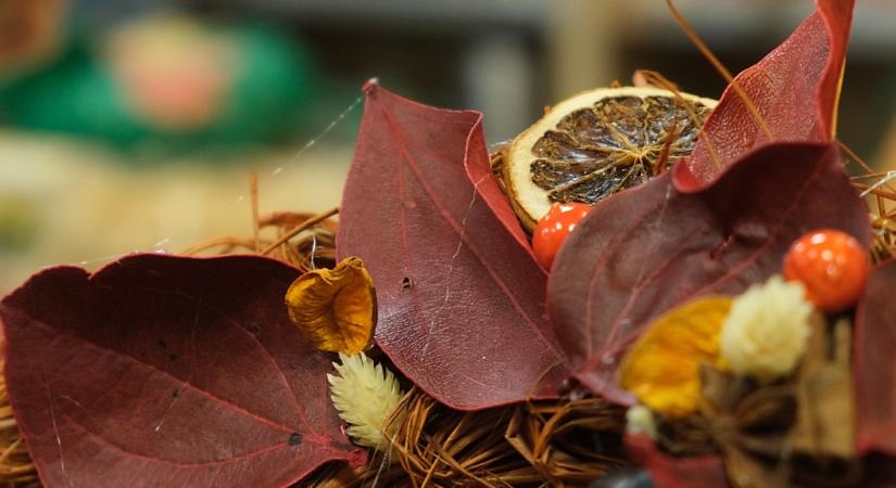 Az ősz Debrecenben nemcsak a színek és ízek évszaka, hanem az élményeké is - videóval
