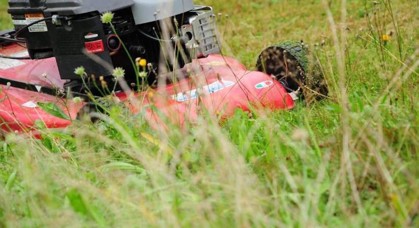 Megtilthatjuk a szomszédnak, hogy akkor zajongjon a ház körüli munkákkal, amikor akar?