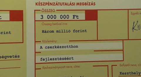 A várakozásokat is felülmúlták a közösségi költségvetésbe nyújtott ötletek Keszthelyen (tvkeszthely.hu)