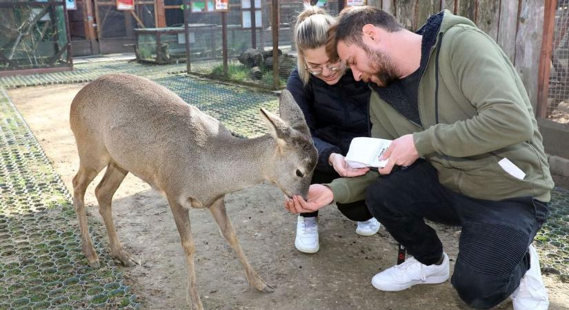 Fogcsikorgató borzongás vár ránk Komlón