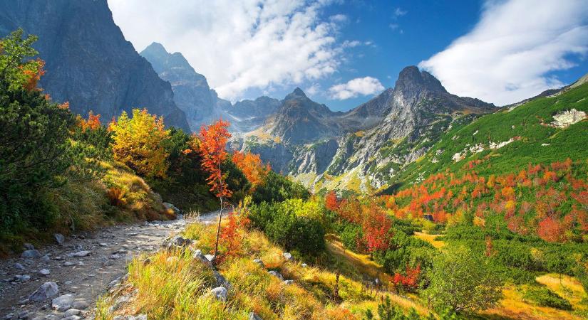 Döbbenet, milyen élőlény jelent meg Szlovákiában, vérfagyasztó látványt rögzített a kamera