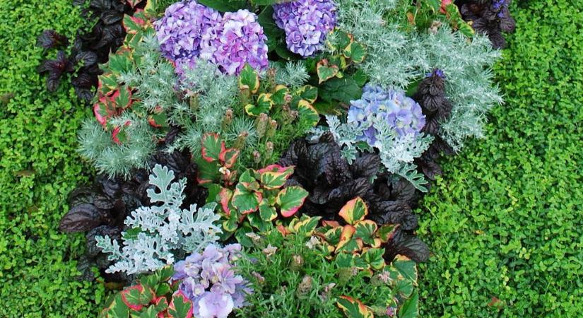 A sírra ültethető leggyakoribb növények gondozása – élő emlékezés minden évszakban