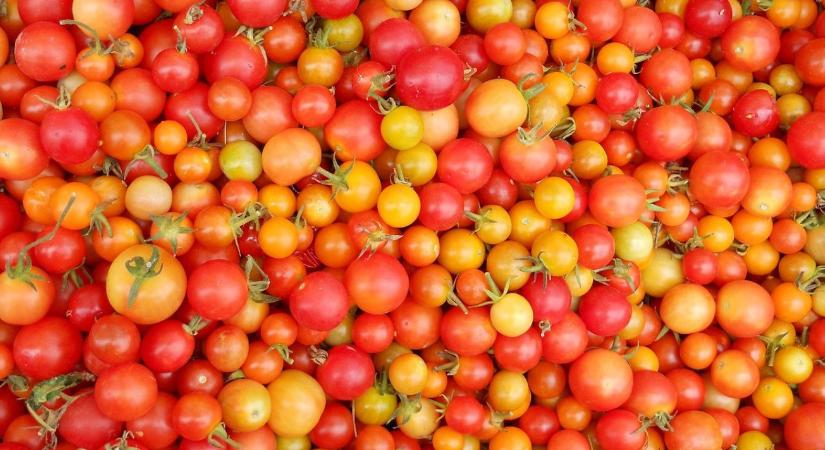 Scarlet Sunrise: itt a legújabb koktélparadicsom