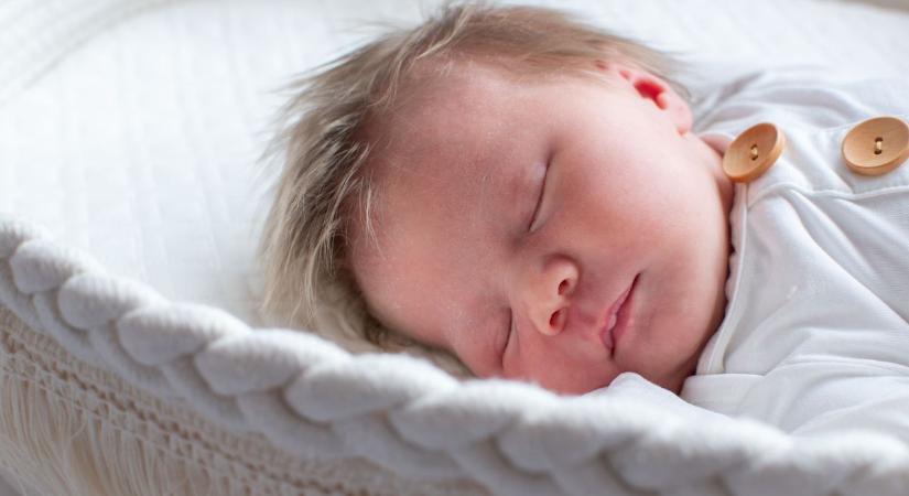 Somogy legújabb lakói között egy kis Ajándék is van