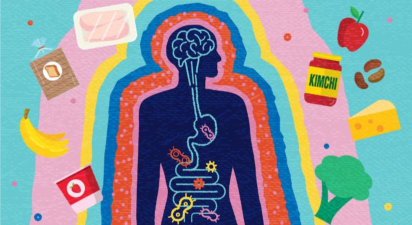 Ezt a 4 dolgot szeretné a bélrendszered, hogy tudd – sőt, könyörög érte!