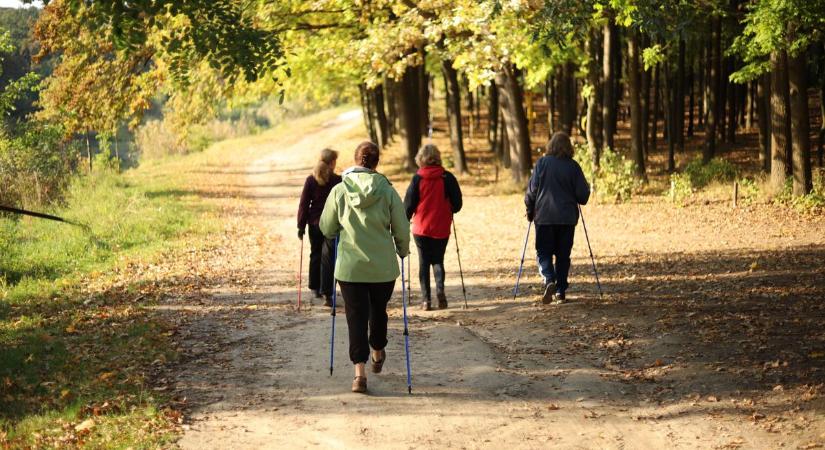 Minden lépés számít majd a jótékonysági sétán