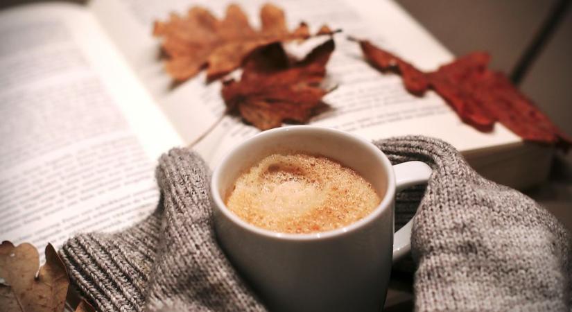 Mesék, illatok, sejtek és a természet – Őszi könyvbéli elmélyedések