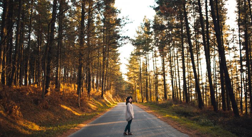 Melyik nap mire figyelj? Ezek a legfontosabb asztrológiai fordulópontok novemberben