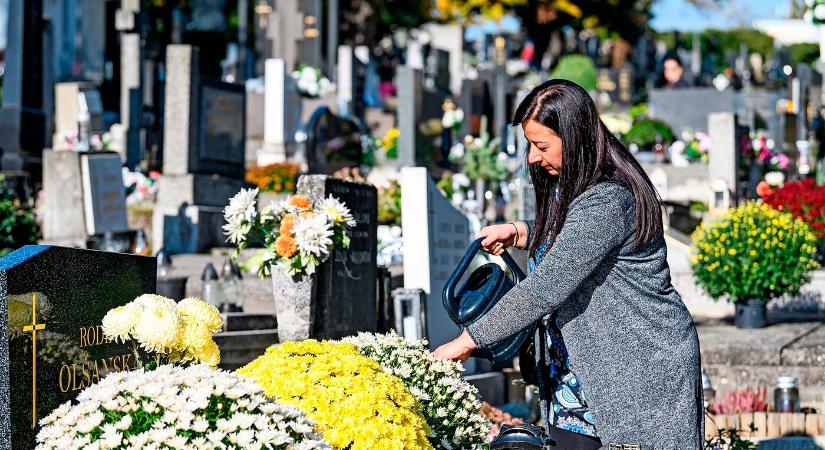 A rozmaring illatától a krizantém pompájáig - a sírvirágok története