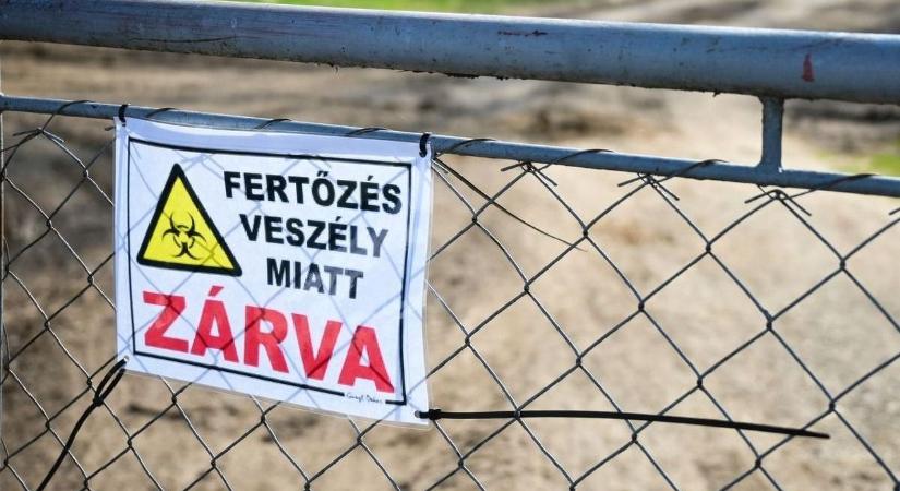 Megjelent a gyilkos vírus Debrecenben, már áldozat is van!