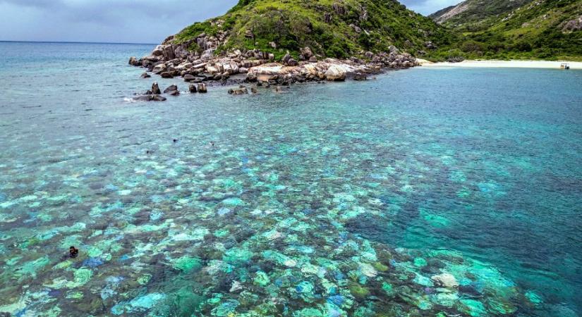 Meghalt egy 80 éves nő, akit ottfelejtett a luxushajó egy lakatlan szigeten