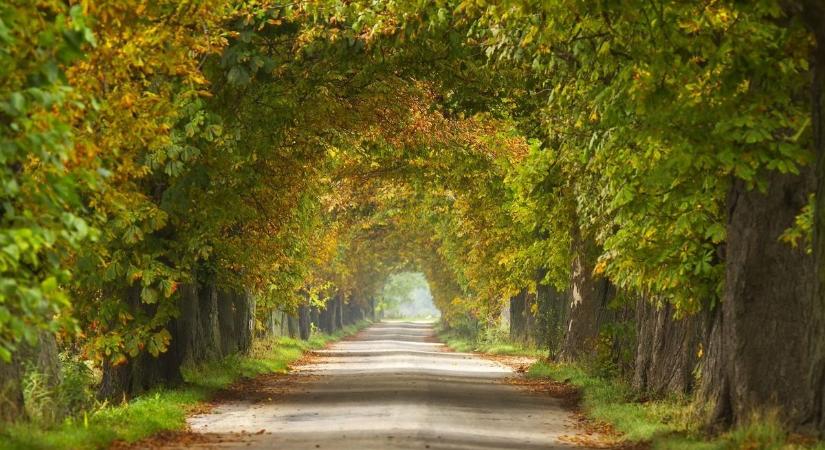 Túraajánló - Kenyér, gyógyvíz és mesés alagút a Szigetköz rejtett kincsei között - fotók