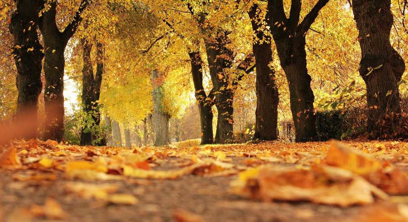 Szokatlanul meleg idővel kezdődik a november, de keddtől jön a változás