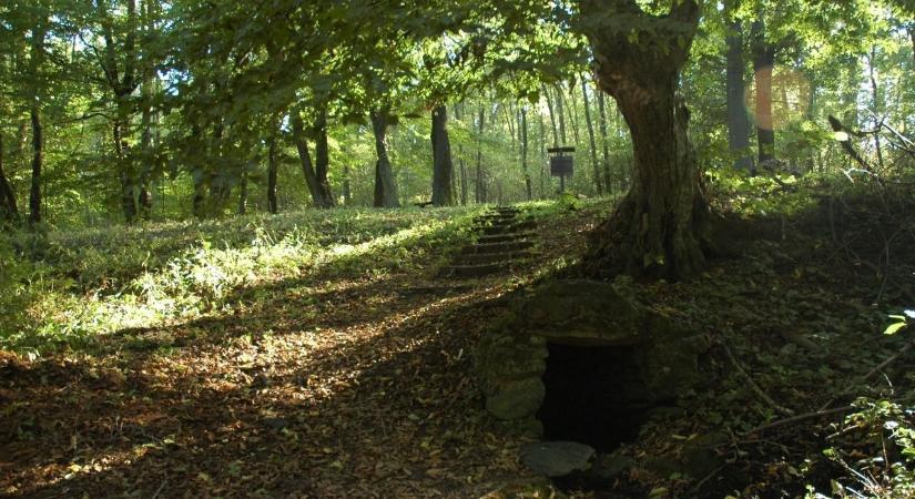 Kirándulás a Fingó-kúthoz