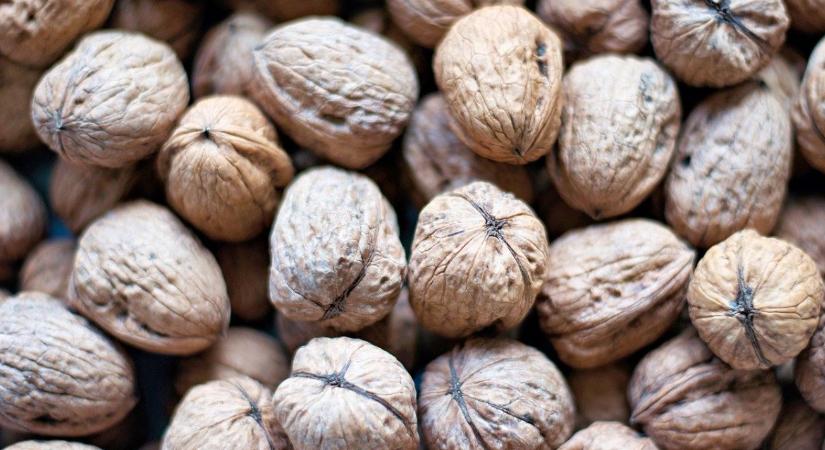 Diótermesztés – még mindig nélkülözhetetlen az emberi munka