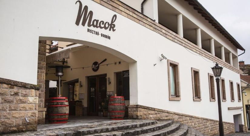 Megérkezett Egerbe a plakett, amire minden étterem vágyik – a Macok Bisztró újra a Michelin kedvence!