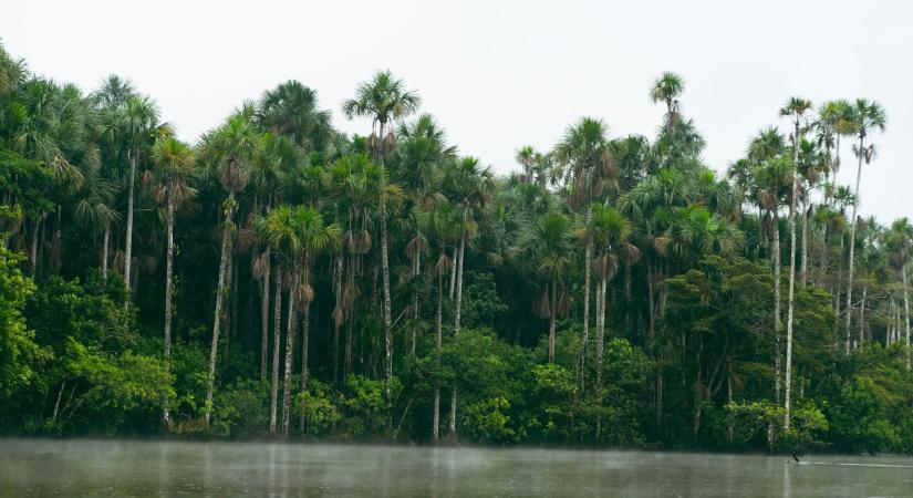 Az ENSZ-főtitkár minden eddiginél riasztóbb képet festett az emberiség közeljövőjét illetően