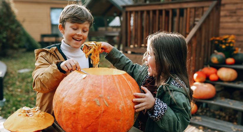 A haláltökök mai is kaptak a zebegényi polgármestertől: „Többen vannak akik utálják az amerikai szokásmajmolást”