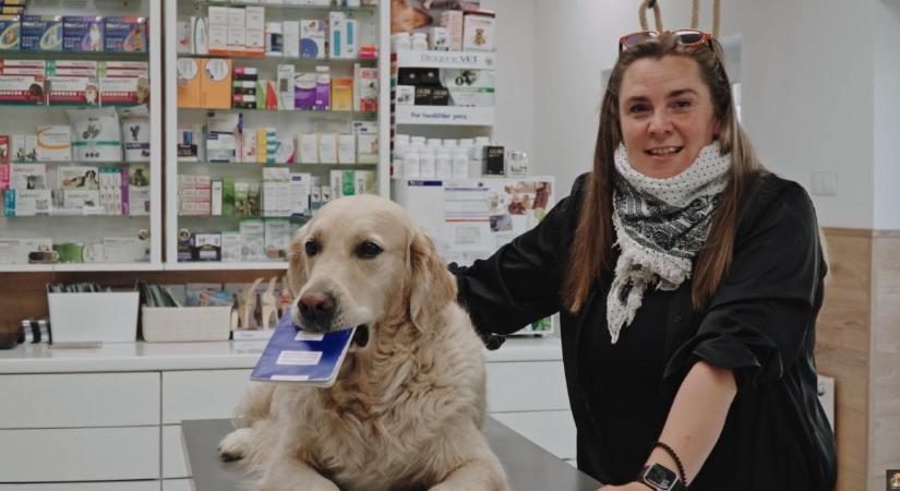 Van-e a kutyának személyi igazolványa?