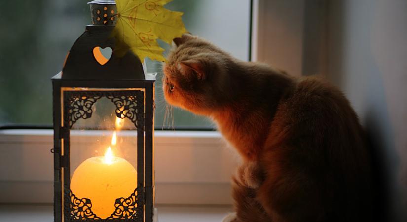 Napi horoszkóp 2025. november 2.: a Halottak napja szép emlékezést hoz