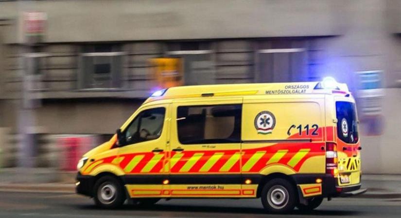 Drámai kutyamentés a szomszédban: a kamaszlány az életét kockáztatta, rohant a mentő érte