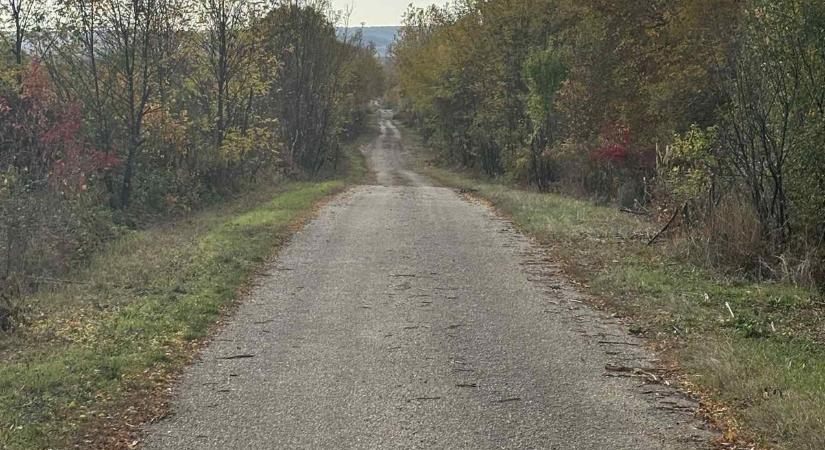 Közösségi összefogás a külterületi utakért: példát mutattak a gazdák