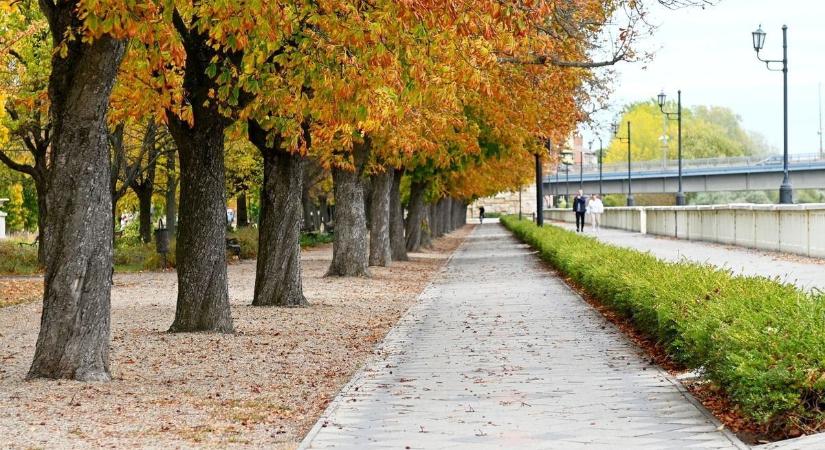 Mosolygós Mindenszentek Szolnokon, ám ezzel véget is ér a jó idő – ezt tartogatja a következő napok időjárása