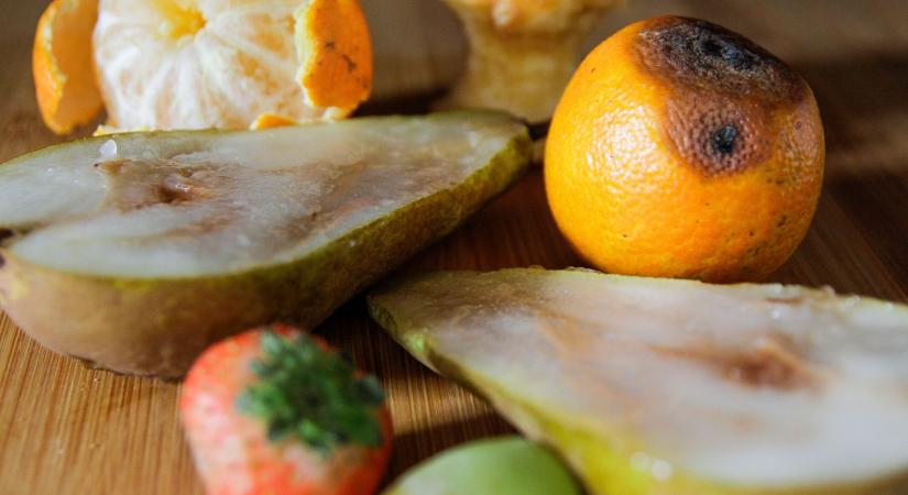 Megehető a penészes gyümölcs, ha kivágjuk a romlott részt? Íme a toxikológus tanácsai