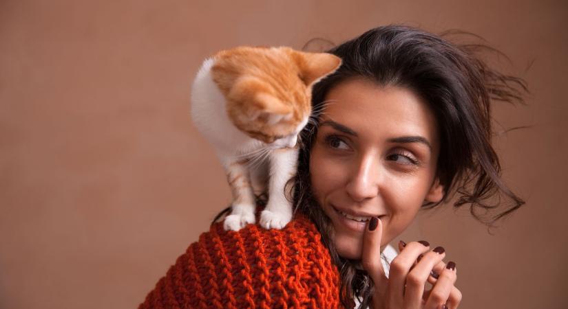 Bizarrul hangzik, de van értelme: egyél úgy, mint egy kóbor macska, és ragyogó lesz a bőröd!