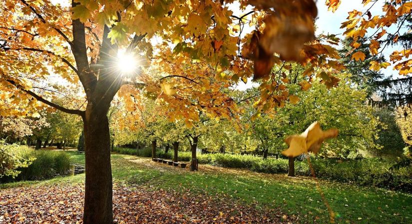 Annyira gyönyörű az ősz Hevesben, hogy ellepték az influenszerek a színes tájakat