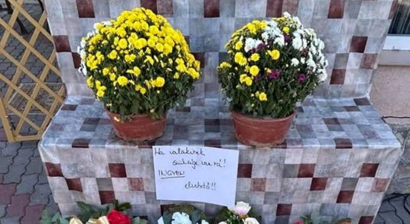 Megható gesztus mindenszentek napján: ingyen adják a virágot ezekben az üzletekben