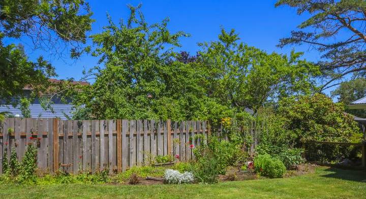 Kigyomlálták a hátsó kertet, elveszettnek hitt ókori leletet találtak: kísérteties felirat állt rajta