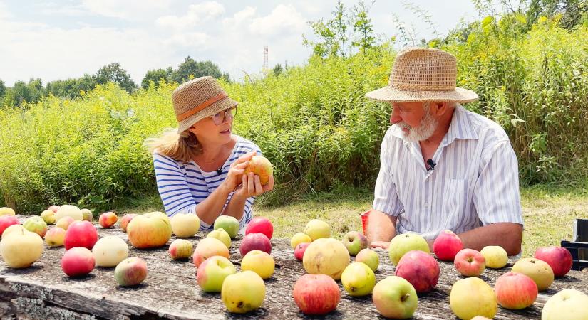 Kovács Gyula, a Tündérkertek gazdája