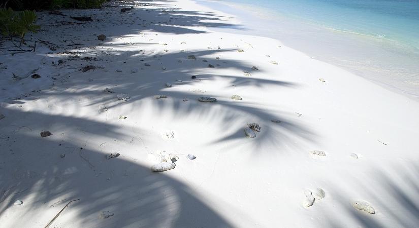A történelem egy darabjára bukkant a család egy hétvégi kirándulás közben