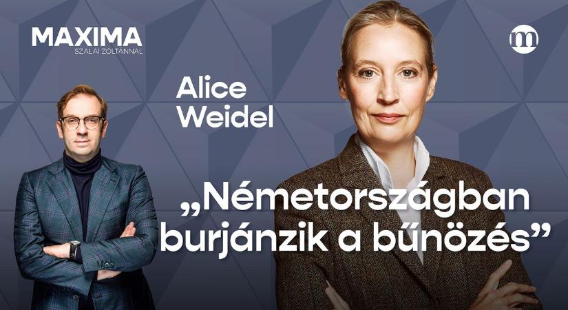 Akik ezt a háborút akarják, menjenek maguk a lövészárkokba  MAXIMA Alice Weidellel