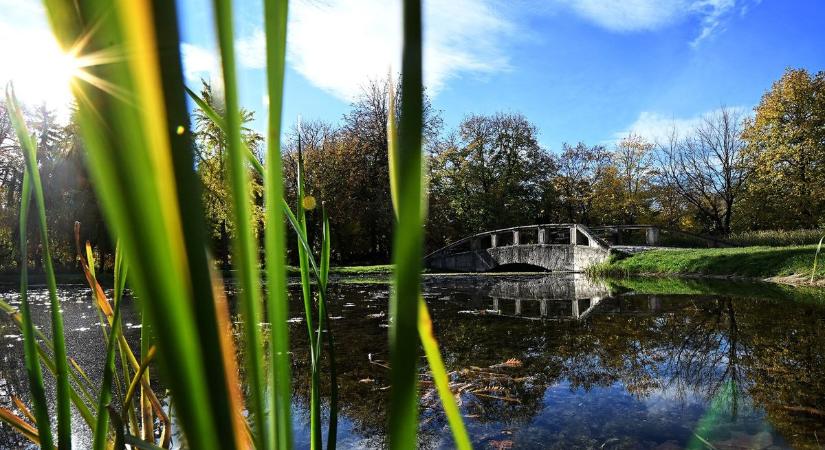 Ilyen időjárásra rég nem volt példa novemberben, vasárnap akár kis kabátban is kimerészkedhetünk